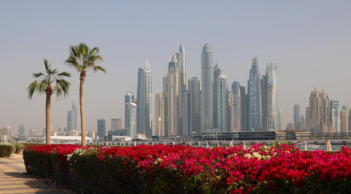 The towers of Dubai Marina behind a bed of bougainvillea and two palms